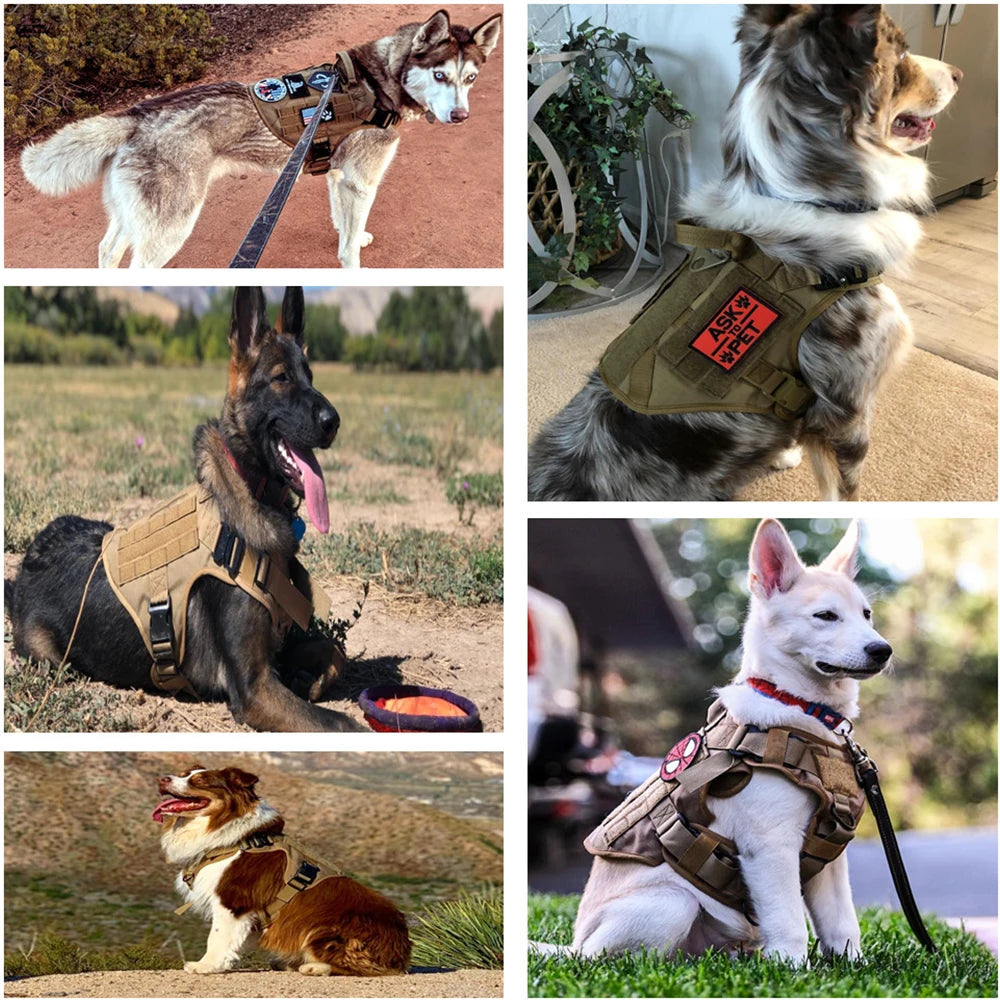Tactical Dog Harness Set w/ Leash Collar Bags Patches for Large Dogs Training