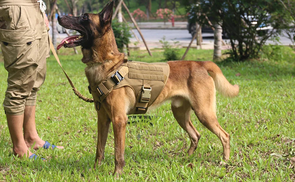 Tactical Dog Harness & Leash Set MOLLE No-Pull Vest for Large Dogs Training