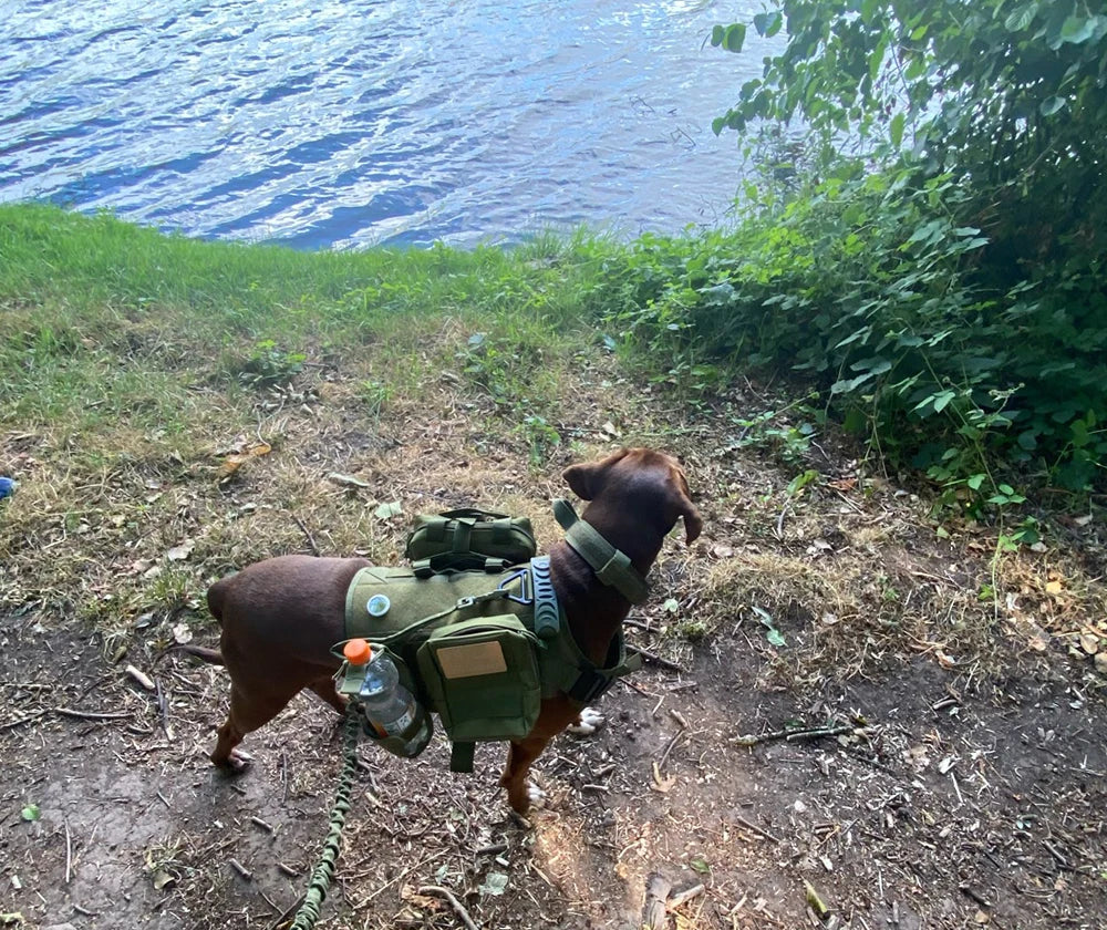 Tactical Dog Harness Set w/ Leash Collar Bags Patches for Large Dogs Training
