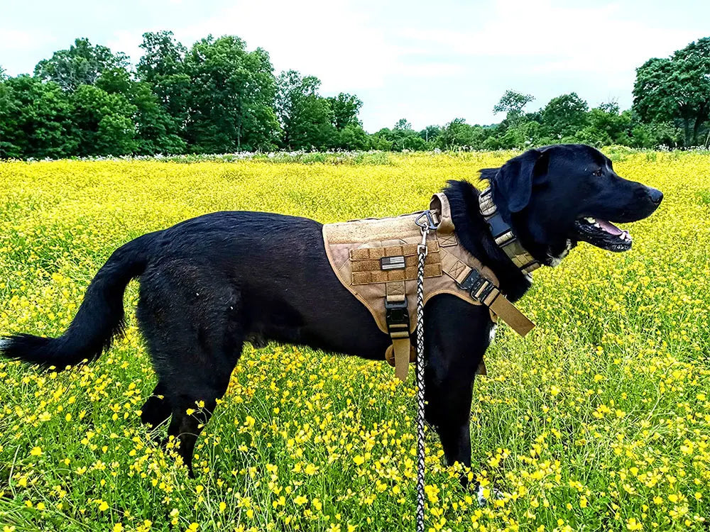 Tactical Dog Harness & Leash Set MOLLE No-Pull Vest for Large Dogs Training