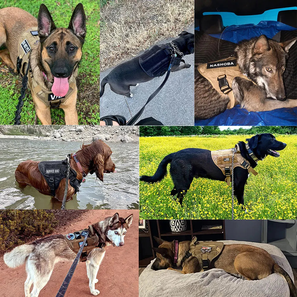Tactical Dog Harness Set w/ Leash Collar Bags Patches for Large Dogs Training