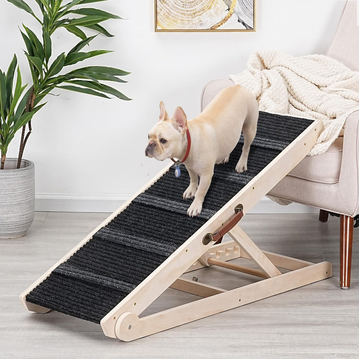 Folding Wooden Pet Ramp Black Carpet Carry Handle Open Box