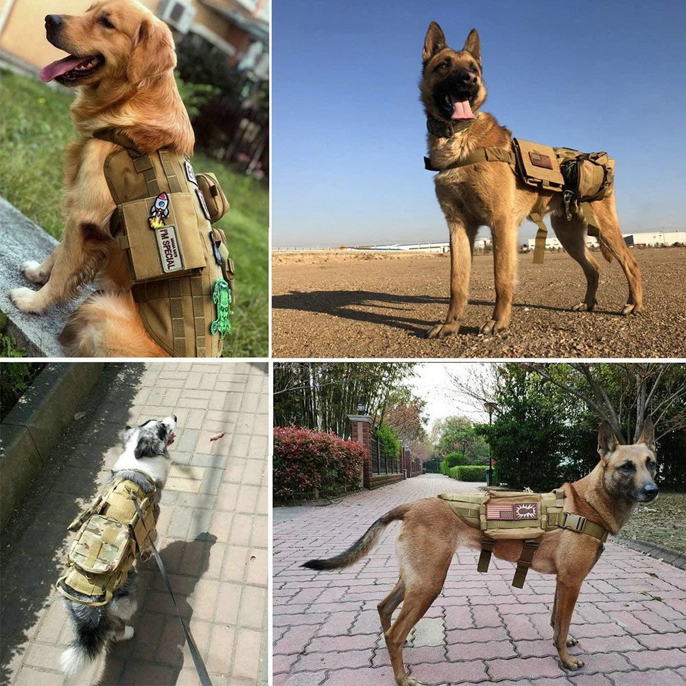 12× Tactical Dog Patch Bundle Custom Name ID Patches Velcro for Harness Collar