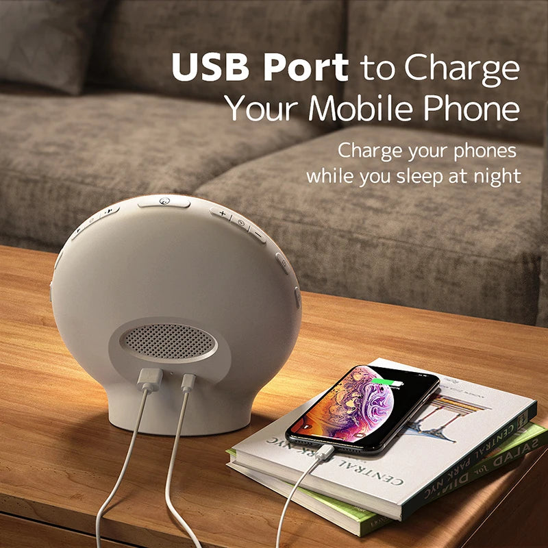 Sunrise Wake-Up Light Alarm Clock FM Radio Dual Alarm USB Night Light