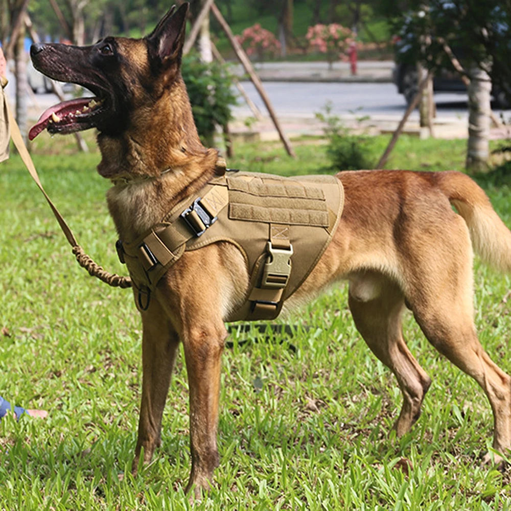 Tactical Dog Harness & Leash Set for German Shepherd Malinois Large Dogs
