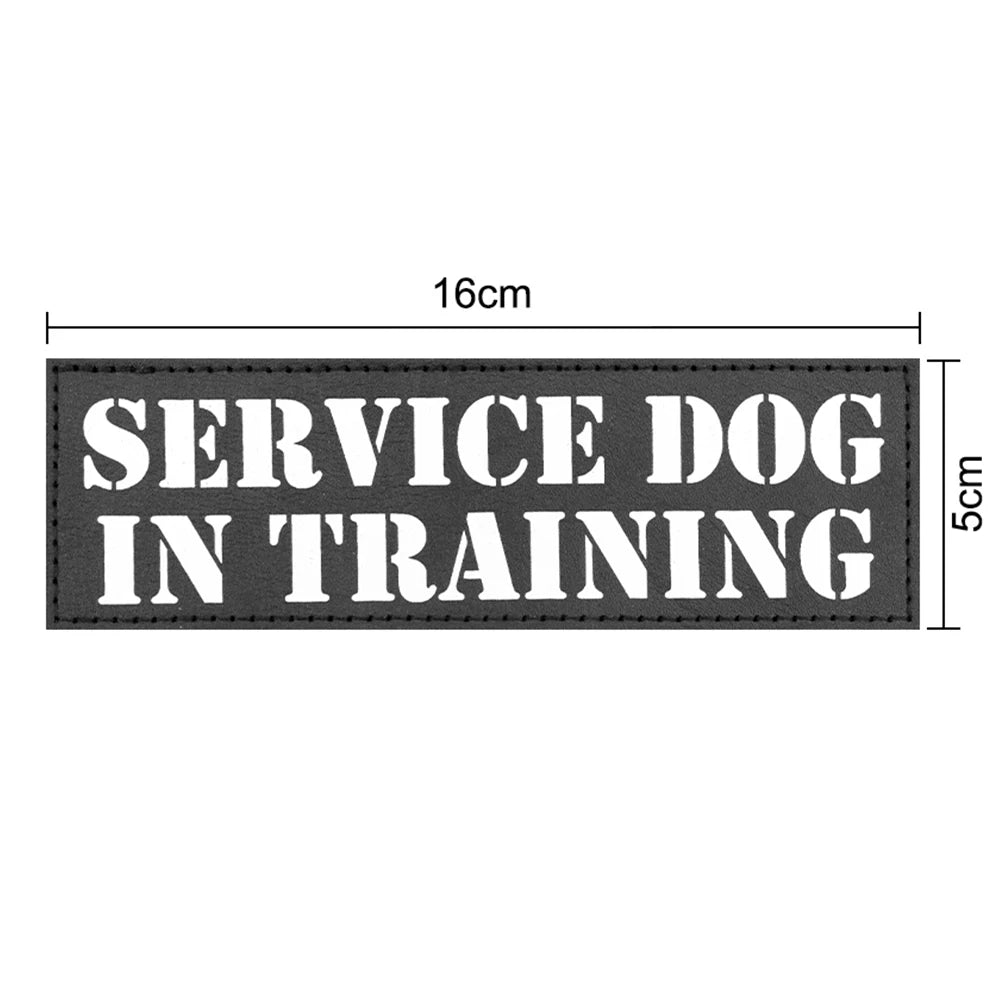 12× Tactical Dog Patch Bundle Custom Name ID Patches Velcro for Harness Collar
