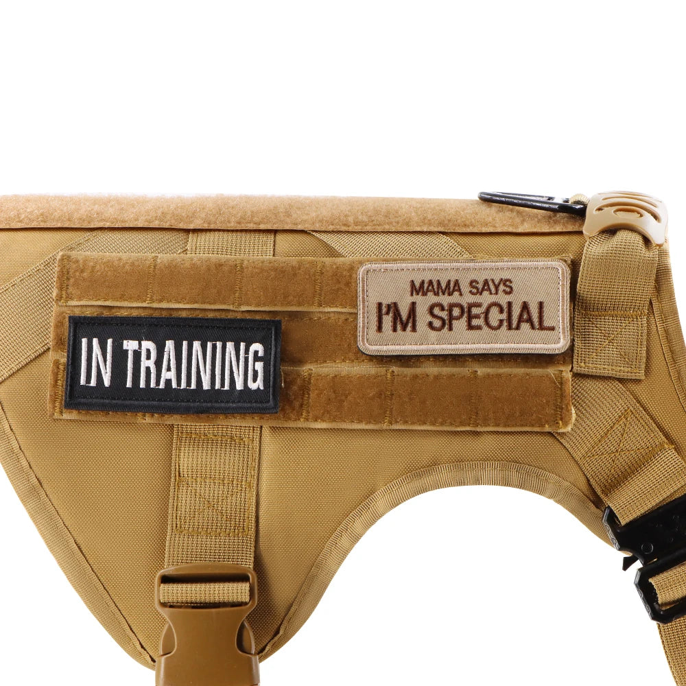 12× Tactical Dog Patch Bundle Custom Name ID Patches Velcro for Harness Collar